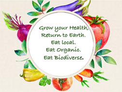 Grow your Health, Return to Earth