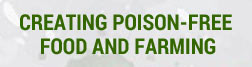 PLEDGE FOR POISON FREE FOOD AND FARMING