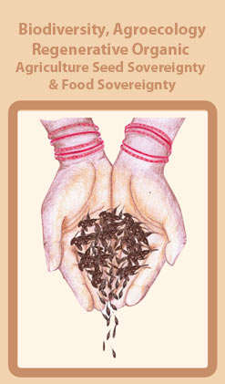 Biodiversity, Agroecology Regenerative Organic Agriculture Seed Sovereignty & Food Sovereignty